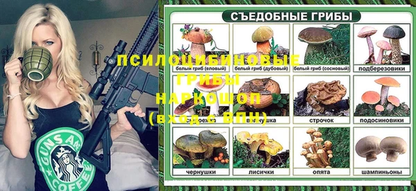 прущие грибы Алексеевка
