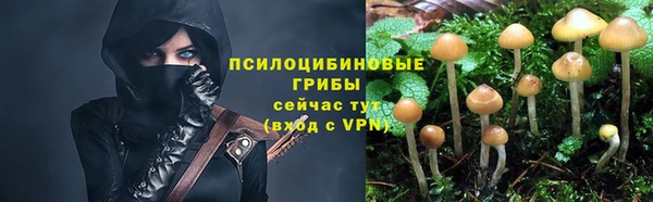 бутират Алзамай